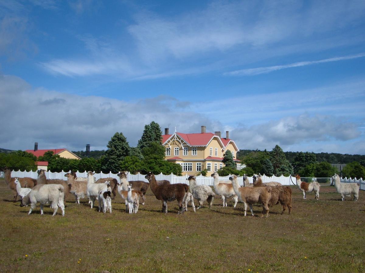 Estancia Rio Penitente Villa Tehuelche المظهر الخارجي الصورة